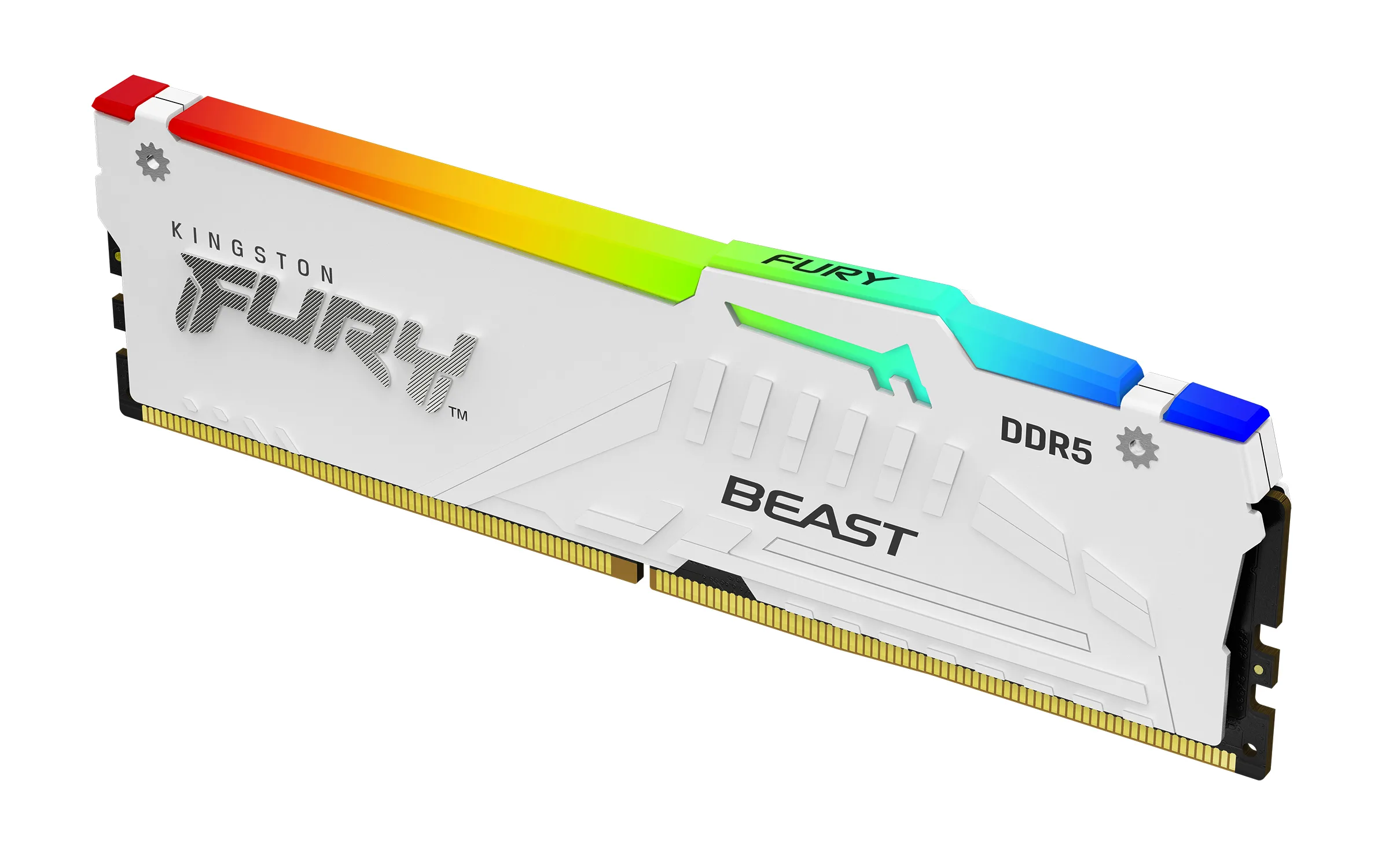 Kingston Technology FURY Beast 64 GB 6000 MT/s DDR5 CL36 DIMM (Kit da 2 moduli) White RGB EXPO