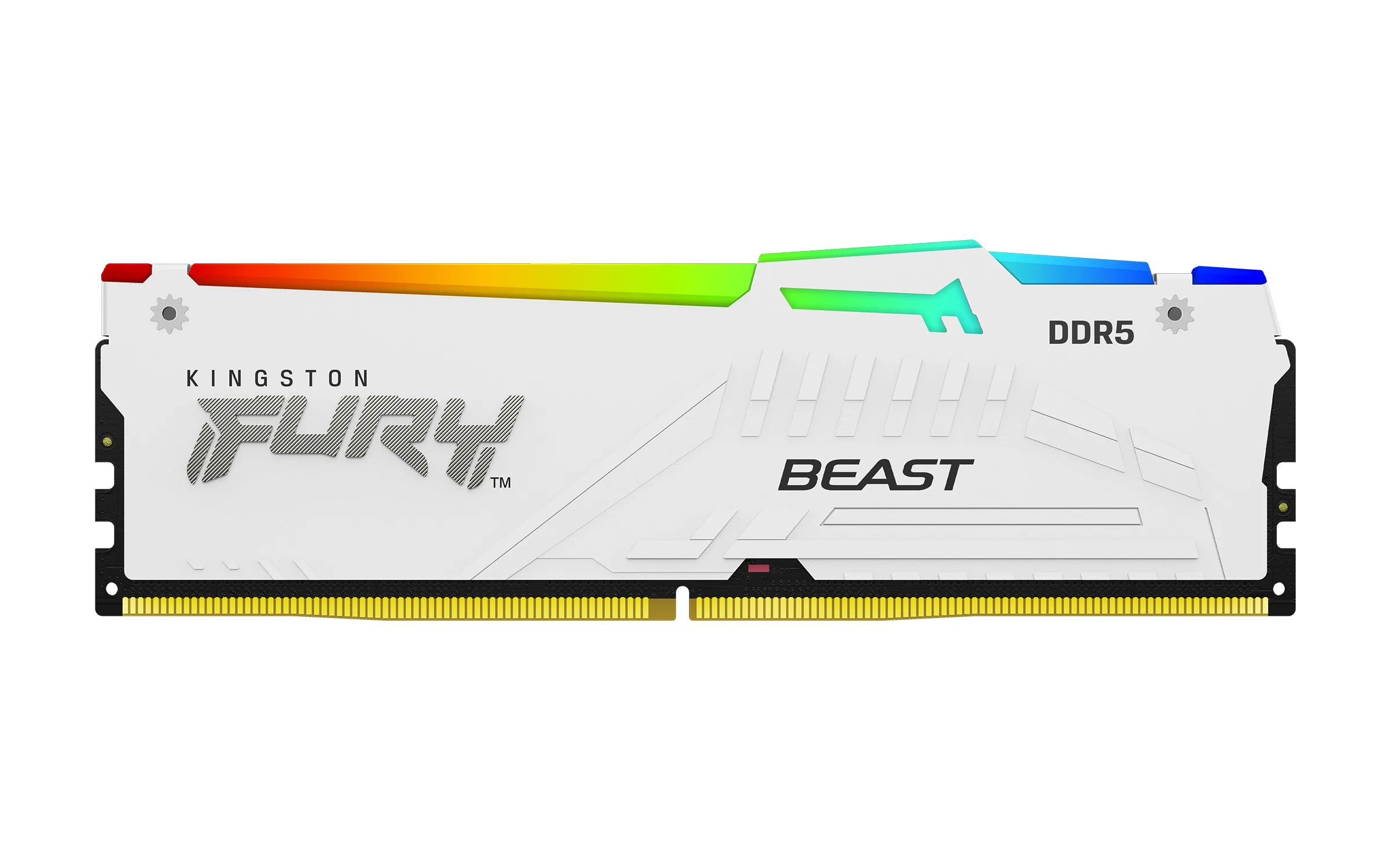 Kingston Technology FURY Beast 64 GB 6000 MT/s DDR5 CL36 DIMM (Kit da 2 moduli) White RGB EXPO
